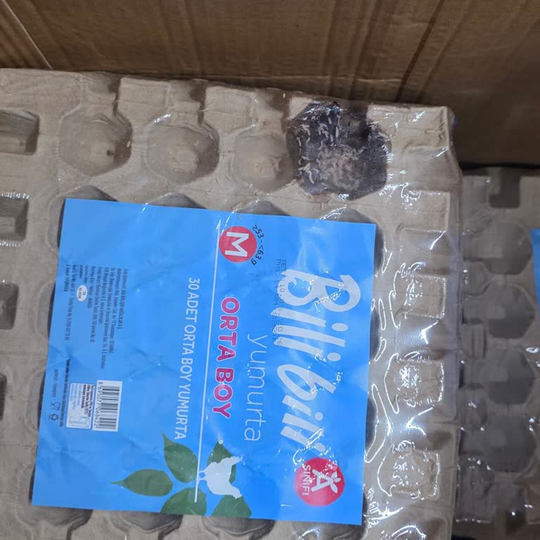 BİM'de Kurtlanmış Yumurta Satışı Ve Sağlık Riski