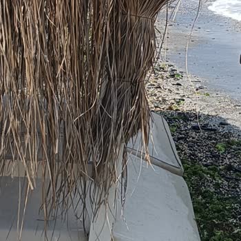 Fahiş Fiyat Ve Kirli Ortam: Infinite Blue Beach Şikayeti