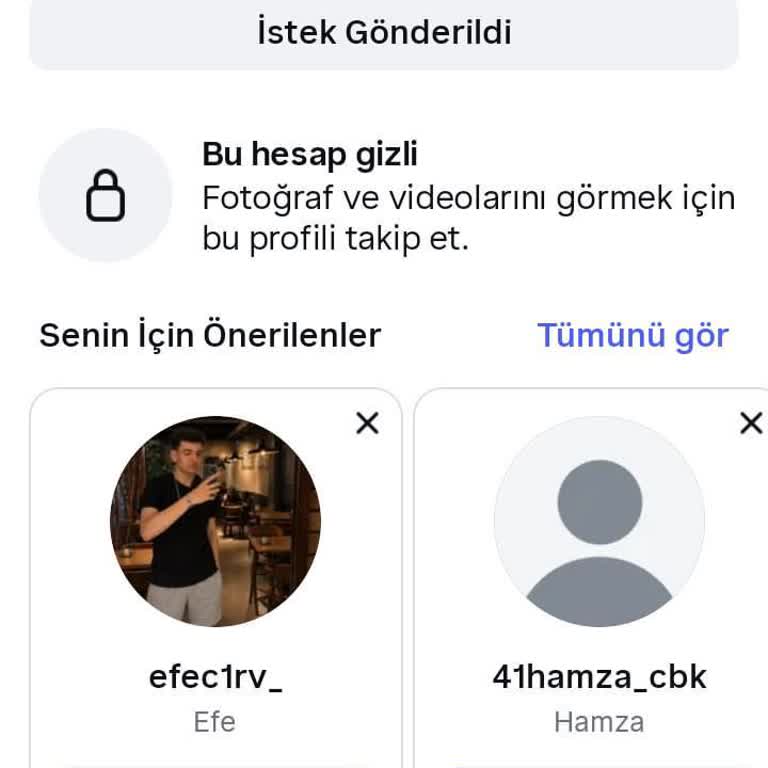 Sahte Şikayet Ve Şifre Çalma Girişimi Nedeniyle Instagram Hesabının Kapatılması Talebi
