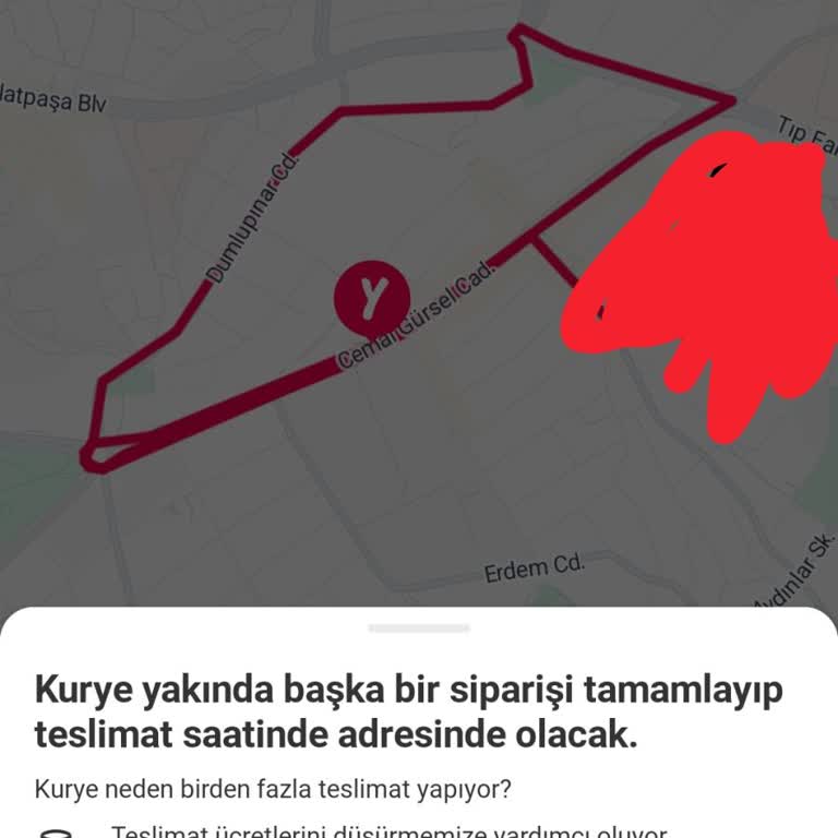 Tek Sipariş Ücreti İçin Paylaşımlı Teslimat Ve Sürekli Gecikme, Pro Üyeliği Boşa