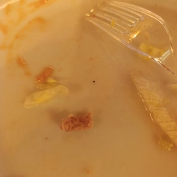 Gülhane'de Çiğ Etli Hamburger, Hijyen Ve Personel İlgisizliği