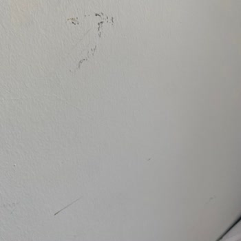 Otelde Kötü Koku, Kirli Odalar Ve Çalışmayan Asansörler