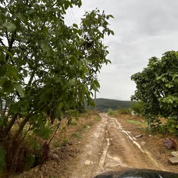 Kandıra Belediyesi'nden Sarıcaali Tahtacılar Yolunun Çamur Haline Gelmesi Ve Acil Onarım Talebi