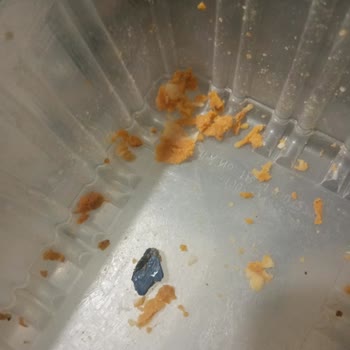 Beşler Döner Ürünün İçindeki Sert Plastik Parça