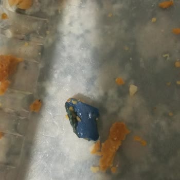 Beşler Döner Ürünün İçindeki Sert Plastik Parça