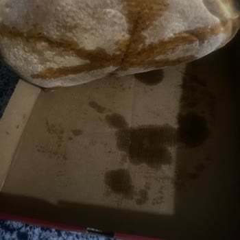 Teslimat Gecikmesi Ve Soğuk, Kalitesiz Pizza İçin Tam İade