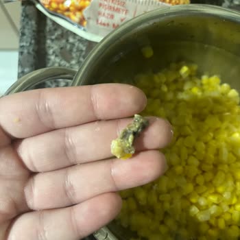 BİM’den Alınan Dondurulmuş Mısırda Küflü Taneler