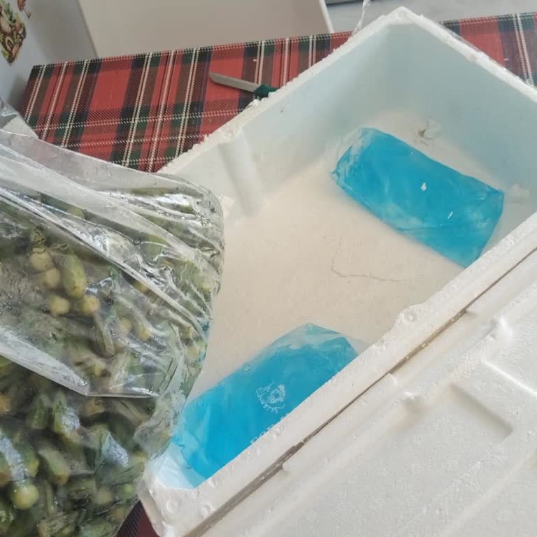 Eksik Asma Yaprağı Gönderimi Ve Otomatik Mesaj Sorunu