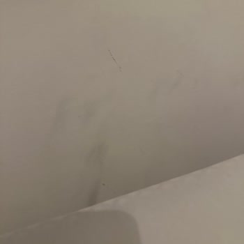 Antalya Solo Boutique Hotel’de Tahtakurusu, Ses Ve Hijyen Sorunları