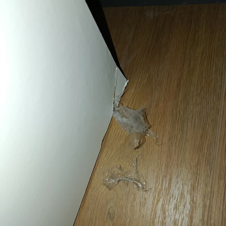 Elittaş Nakliyat (Kocaeli) Eşyalarıma Zarar Verdiler