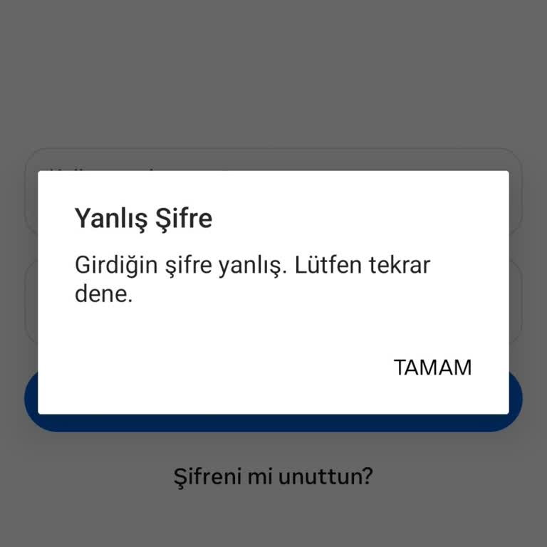 Threads Uygulamasında Yanlış Şifre Hatası Ve Instagram Bağlantı Sorunu