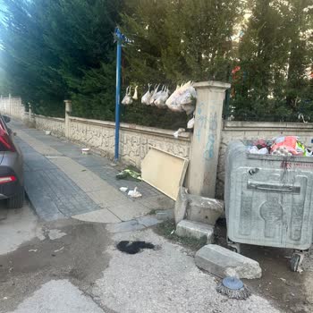 Etimesgut Alsancak Mahallesi Çöp Konteyner Çevresindeki Dağınık Atık Ve Kırık Kaldırım Sorunları