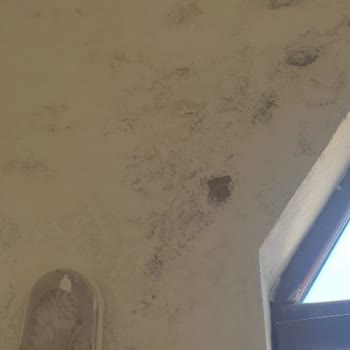 Mapfre Sigorta'dan Hasar Ödemesi Gecikmesi Ve Bilgi Yokluğu