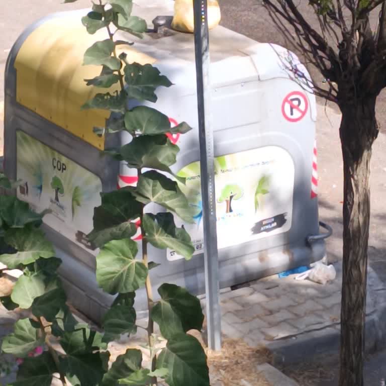 Çöp Konteynerinin Kapak Sorunu Sebebiyle Görüntü Kirliliği Ve Hijyen Problemi