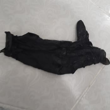 Şok Market’te Dolphin Eldivenlerde Defolu Çıkma Ve Ücret İadesi Talebi