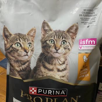 Sahte Pro Plan Kedi Maması Ve Yanıltıcı Son Kullanma Tarihi