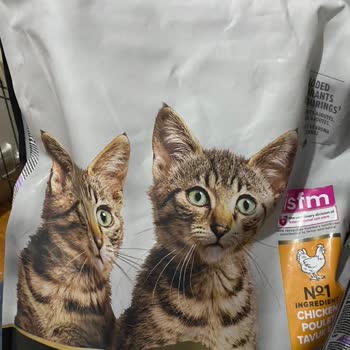 Sahte Pro Plan Kedi Maması Ve Yanıltıcı Son Kullanma Tarihi