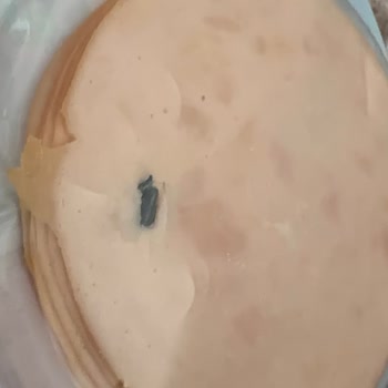 Şok Market Polonez Ürünlerinde Küflenmiş Salam Ve Kemik Parçası