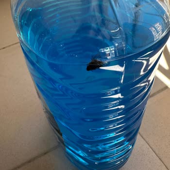 Sabunun İçinde Böcek: Hijyen İhlali Ve Mağaza Personelinin Yetersiz Yaklaşımı
