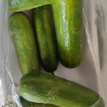 Migros Online Siparişlerinde Bozuk Sebze Ve Meyve Sorunu Kökten Çözülmeli