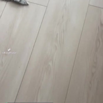 Roborock Ve Servisi Çok Kötü!