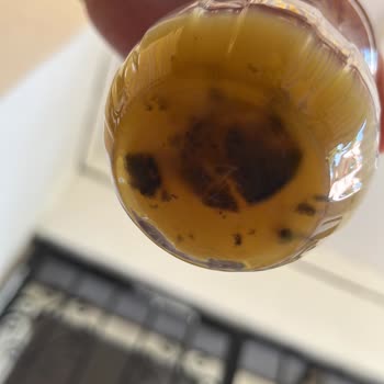Resverol Takviyesinde Siyah Tortular, Mide Bulantısı Ve Karın Ağrısı