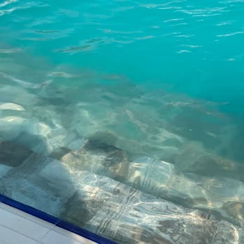 Palmora Lara Otelinde Hijyen Ve Hizmet Sorunları Nedeniyle İade Talebi