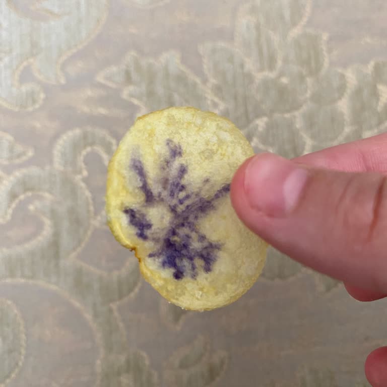 Lay’s Sade Cipste Mor Lekeli Cips Parçası