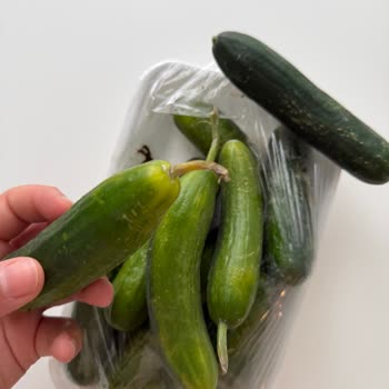 Migros Hemen Siparişindeki Küflü Salatalık İçin Ücret İadesi Ve Özür Talebi