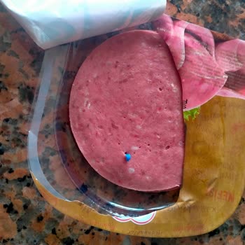 Maret Pratik Dana Macar Salamının İçinde Mavi Plastik Parça