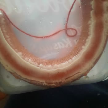 Son Kullanma Tarihi Geçmemiş Sucukta Küf Tespiti