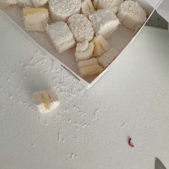 Lokum Kutusunda Böcek Tespiti Ve Hijyen Endişesi