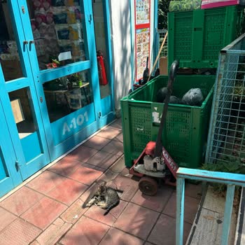 Kavacık A101 Şubesinde Hijyen Ve Düzen Kaosu