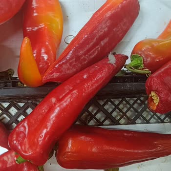 Şehzade Market'te Sebze Reyonunda Sürekli Çürük Ürün Ve Hijyen İhmali