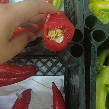 Şehzade Market'te Sebze Reyonunda Sürekli Çürük Ürün Ve Hijyen İhmali