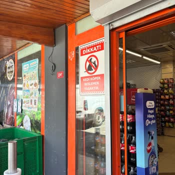 Çağrı Market Selamsız Şubesi Sokak Hayvanlarını Beslemeyi Yasaklıyor Ve Engelliyor
