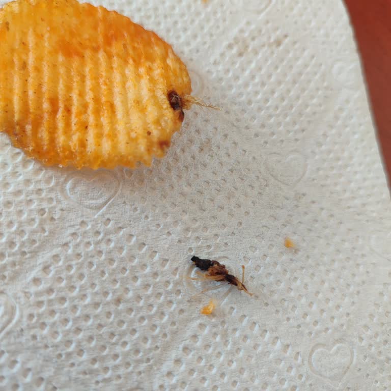 Ruffles Cips Paketi İçinde Böcek Bulunması
