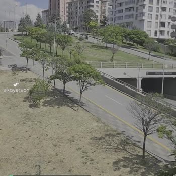 Ankara Büyükşehir Belediyesi Çevre Koruma Ya Pozitif Ayrım Ya Da Bilgisizlik!
