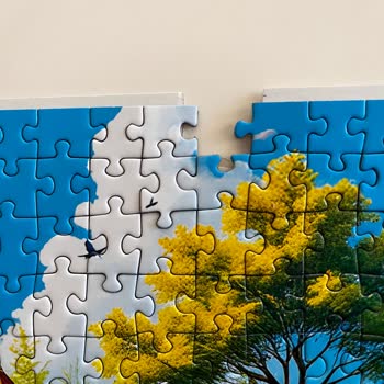 Olimpia Puzzle Eksik Parça Mağduriyeti Ve Form Hatası