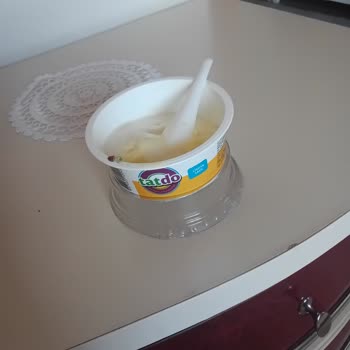 Tatdo Dondurmasının İçinde Yabancı Madde Çıktı Ve Telafi Talep Ediyorum