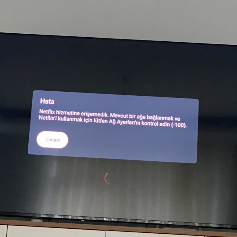 Dijitsu Netflix Erişimi Çalışmıyor Yeni TV’de İzleme Sorunu