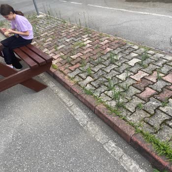 Park Görevlisinin Kaba Tutumu Ziyaretçileri Suçlu Hissettirdi
