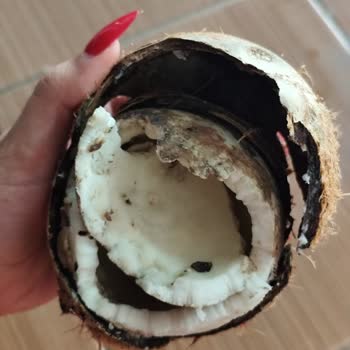 Migros Hemen'de Bozuk Hindistan Cevizi Ve İade Sürecindeki Gecikme