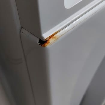 Küflenmiş Deterjan Çekmecesi Ve Ters Kapak Tutacağı Sorunu
