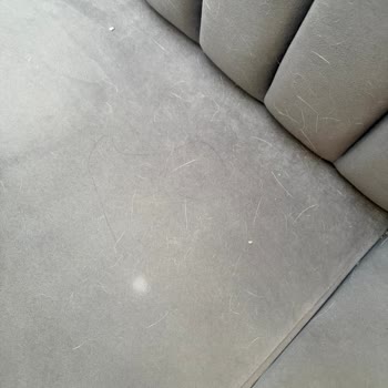 Marmara Forum Yemek Katında Kedi Tüyü Ve Hijyen Sorunu