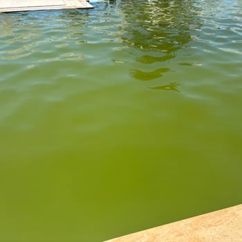 Ayıplı Otel Hizmeti Nedeniyle Oluşan Ek Maddi Zararların Tazmini Talebi