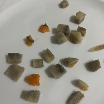 Tukaş Garnitüründe Çürük Patates Ve Havuç Taneleri: Sağlık Ve Güven Sorunu