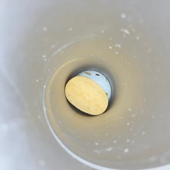 Cipso Tube Original Paketinde Kahverengi Kurt Bulunması Sağlık Ve Hijyen Endişesi