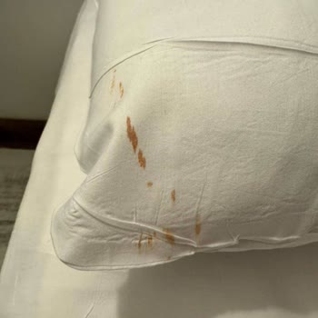 Jolly Tur’da Yanıltıcı Otel Görselleri Nedeniyle Rezervasyon İptali Ve Transfer İsteği