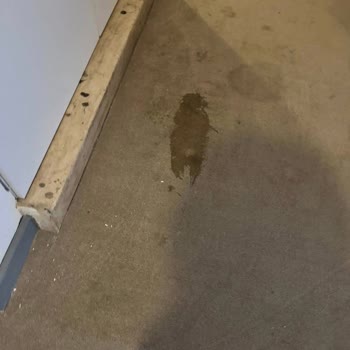 Jolly Tur’da Yanıltıcı Otel Görselleri Nedeniyle Rezervasyon İptali Ve Transfer İsteği